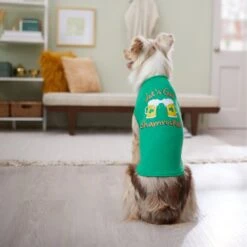 Frisco Let's Get Shamrocked Dog & Cat T-Shirt -Frisco 300184 PT8. AC SS1800 V1639597401
