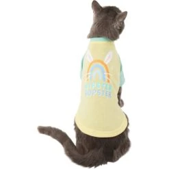 Frisco Hipster Hopster Dog & Cat T-Shirt 8 Frisco Hipster Hopster Dog & Cat T-Shirt -Frisco 300638 PT2. AC SS1800 V1641538001