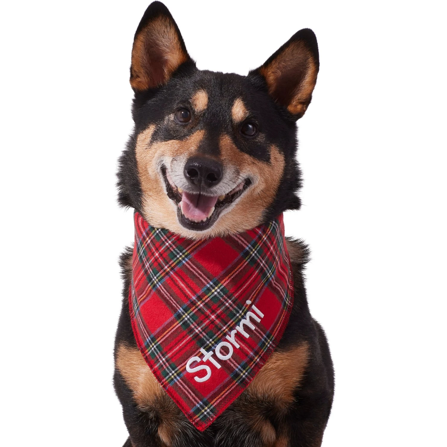 Frisco Tartan Plaid Embroidered Personalized Dog & Cat Bandana 6 Frisco Tartan Plaid Embroidered Personalized Dog & Cat Bandana - Image 6