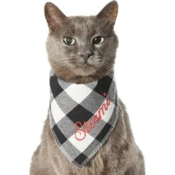 Frisco Buffalo Check Embroidered Personalized Dog & Cat Bandana 14 Frisco Buffalo Check Embroidered Personalized Dog & Cat Bandana -Frisco 301162 PT7. AC SS1800 V1628535983