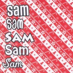 Frisco Fair Isle Personalized Dog & Cat Bandana 12 Frisco Fair Isle Personalized Dog & Cat Bandana -Frisco 301357 PT4. AC SS1800 V1627654637