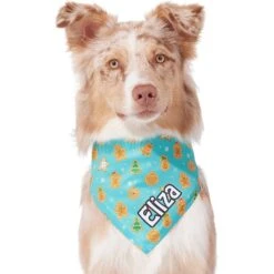 Frisco Gingerbread Cookie Personalized Dog & Cat Bandana 14 Frisco Gingerbread Cookie Personalized Dog & Cat Bandana -Frisco 301361 PT6. AC SS1800 V1628100109