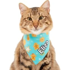 Frisco Gingerbread Cookie Personalized Dog & Cat Bandana 15 Frisco Gingerbread Cookie Personalized Dog & Cat Bandana -Frisco 301361 PT7. AC SS1800 V1628100087