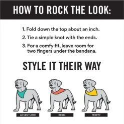 Frisco Buffalo Plaid Winter Animals Personalized Dog & Cat Bandana 10 Frisco Buffalo Plaid Winter Animals Personalized Dog & Cat Bandana -Frisco 301365 PT2. AC SS1800 V1623274348