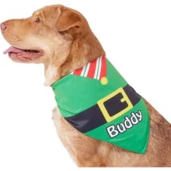 Frisco Santa's Favorite Elf Personalized Dog & Cat Bandana 14 Frisco Santa's Favorite Elf Personalized Dog & Cat Bandana -Frisco 301369 PT6. AC SS1800 V1628100146