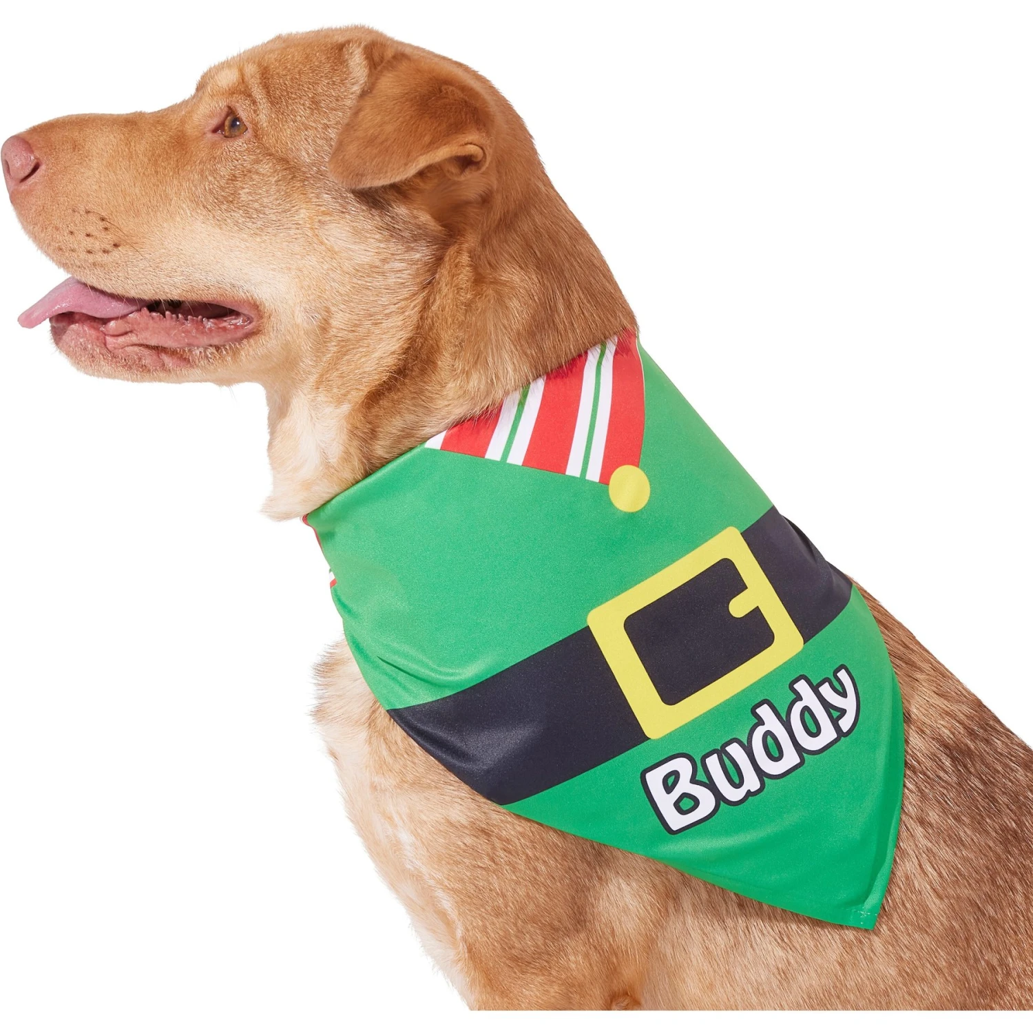 Frisco Santa's Favorite Elf Personalized Dog & Cat Bandana 7 Frisco Santa's Favorite Elf Personalized Dog & Cat Bandana - Image 7