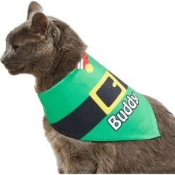 Frisco Santa's Favorite Elf Personalized Dog & Cat Bandana 15 Frisco Santa's Favorite Elf Personalized Dog & Cat Bandana -Frisco 301369 PT7. AC SS1800 V1628100114