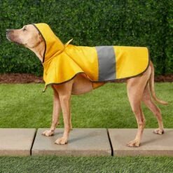 Frisco Lightweight Rainy Days Dog Raincoat & Frisco Lightweight Rubber Ducky Dog Raincoat 13 Frisco Lightweight Rainy Days Dog Raincoat & Frisco Lightweight Rubber Ducky Dog Raincoat -Frisco 302842 PT4. AC SS1800 V1623052647