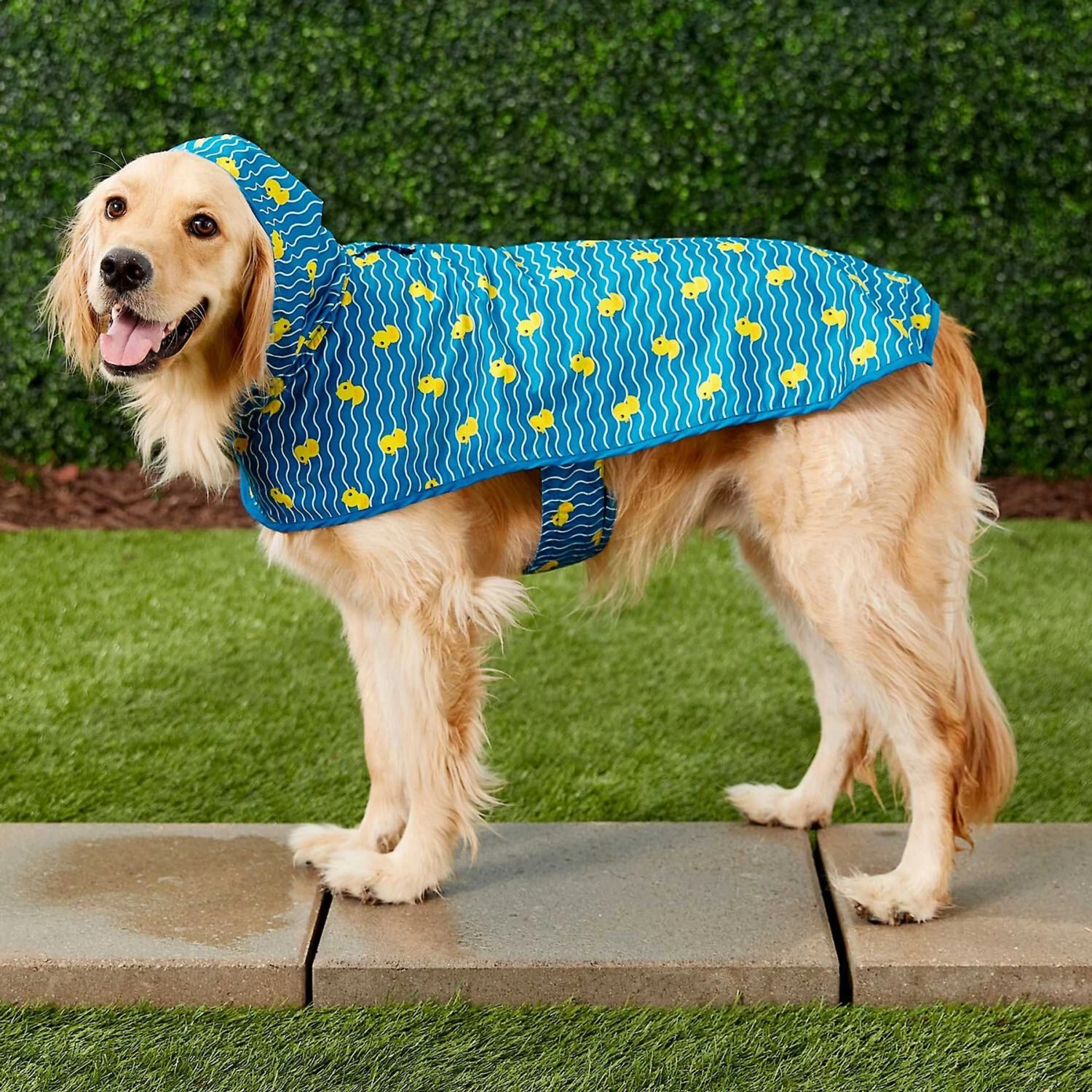 Frisco Lightweight Rainy Days Dog Raincoat & Frisco Lightweight Rubber Ducky Dog Raincoat 8 Frisco Lightweight Rainy Days Dog Raincoat & Frisco Lightweight Rubber Ducky Dog Raincoat - Image 8