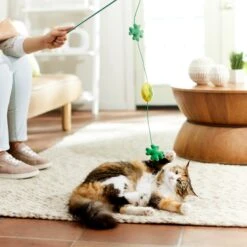 Frisco St. Patrick's Shamrock Teaser Wand Cat Toy With Catnip 6 Frisco St. Patrick's Shamrock Teaser Wand Cat Toy With Catnip -Frisco 303108 PT3. AC SS1800 V1641230422