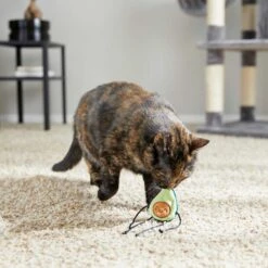 Frisco Cactus Cat Scratching Post & Frisco Dangly Avocado Buddy Plush Cat Toy With Catnip -Frisco 303380 PT6. AC SS1800 V1623085642
