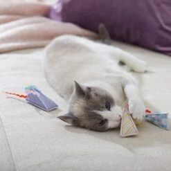 Frisco Spring Party Hat Kickers Cat Toy With Catnip 6 Frisco Spring Party Hat Kickers Cat Toy With Catnip -Frisco 306960 PT3. AC SS1800 V1703184746