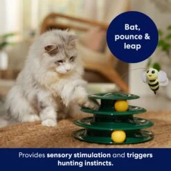 Frisco Bee & Leaf Cat Tracks Cat Toy With Catnip 8 Frisco Bee & Leaf Cat Tracks Cat Toy With Catnip -Frisco 308889 PT3. AC SS1800 V1695241917