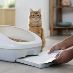 Frisco Cat Litter Pads, Scented 12 Frisco Cat Litter Pads, Scented -Frisco 309828 PT5. AC SS1800 V1675280050