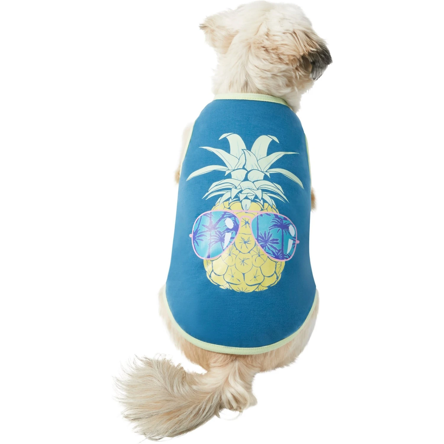 Frisco Pineapple Guy Dog & Cat T-Shirt 1 Frisco Pineapple Guy Dog & Cat T-Shirt