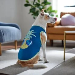 Frisco Pineapple Guy Dog & Cat T-Shirt 11 Frisco Pineapple Guy Dog & Cat T-Shirt -Frisco 312040 PT8. AC SS1800 V1644466024