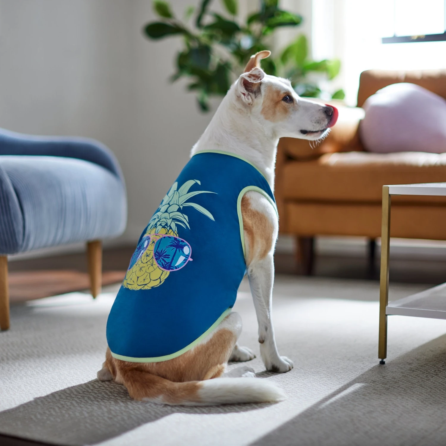 Frisco Pineapple Guy Dog & Cat T-Shirt 6 Frisco Pineapple Guy Dog & Cat T-Shirt - Image 6