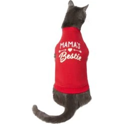 Frisco Mama's Bestie Dog & Cat T-Shirt 9 Frisco Mama's Bestie Dog & Cat T-Shirt -Frisco 312056 PT2. AC SS1800 V1644425822