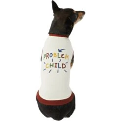 Frisco Problem Child Dog & Cat T-Shirt 10 Frisco Problem Child Dog & Cat T-Shirt -Frisco 312064 PT3. AC SS1800 V1673303532