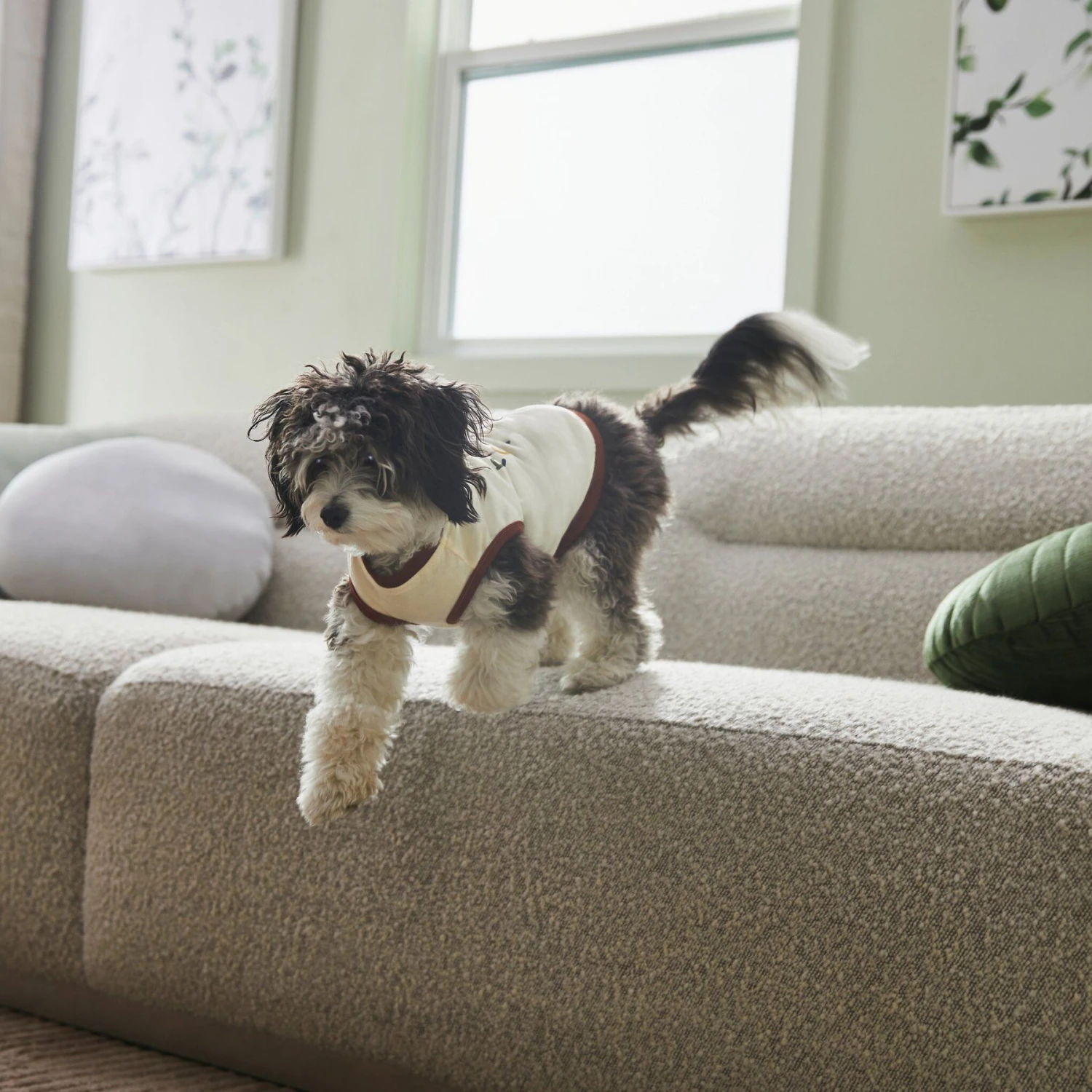 Frisco Problem Child Dog & Cat T-Shirt 6 Frisco Problem Child Dog & Cat T-Shirt - Image 6