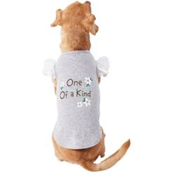 Frisco One Of A Kind Dog & Cat T-Shirt 10 Frisco One Of A Kind Dog & Cat T-Shirt -Frisco 312080 PT3. AC SS1800 V1673303002