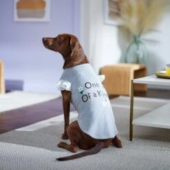 Frisco One Of A Kind Dog & Cat T-Shirt 12 Frisco One Of A Kind Dog & Cat T-Shirt -Frisco 312080 PT5. AC SS1800 V1673304060