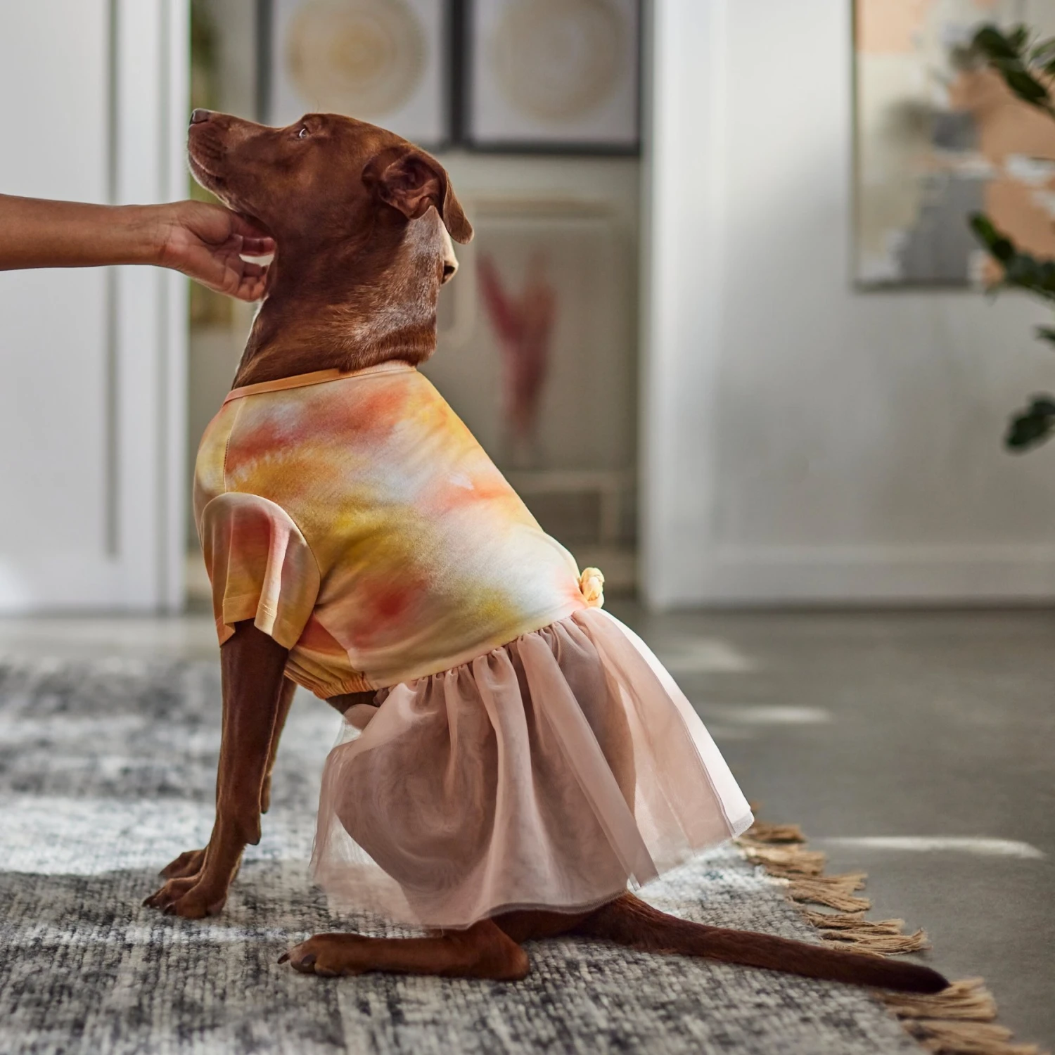 Frisco Tie Dye Pink Tutu Dog & Cat Dress 6 Frisco Tie Dye Pink Tutu Dog & Cat Dress - Image 6