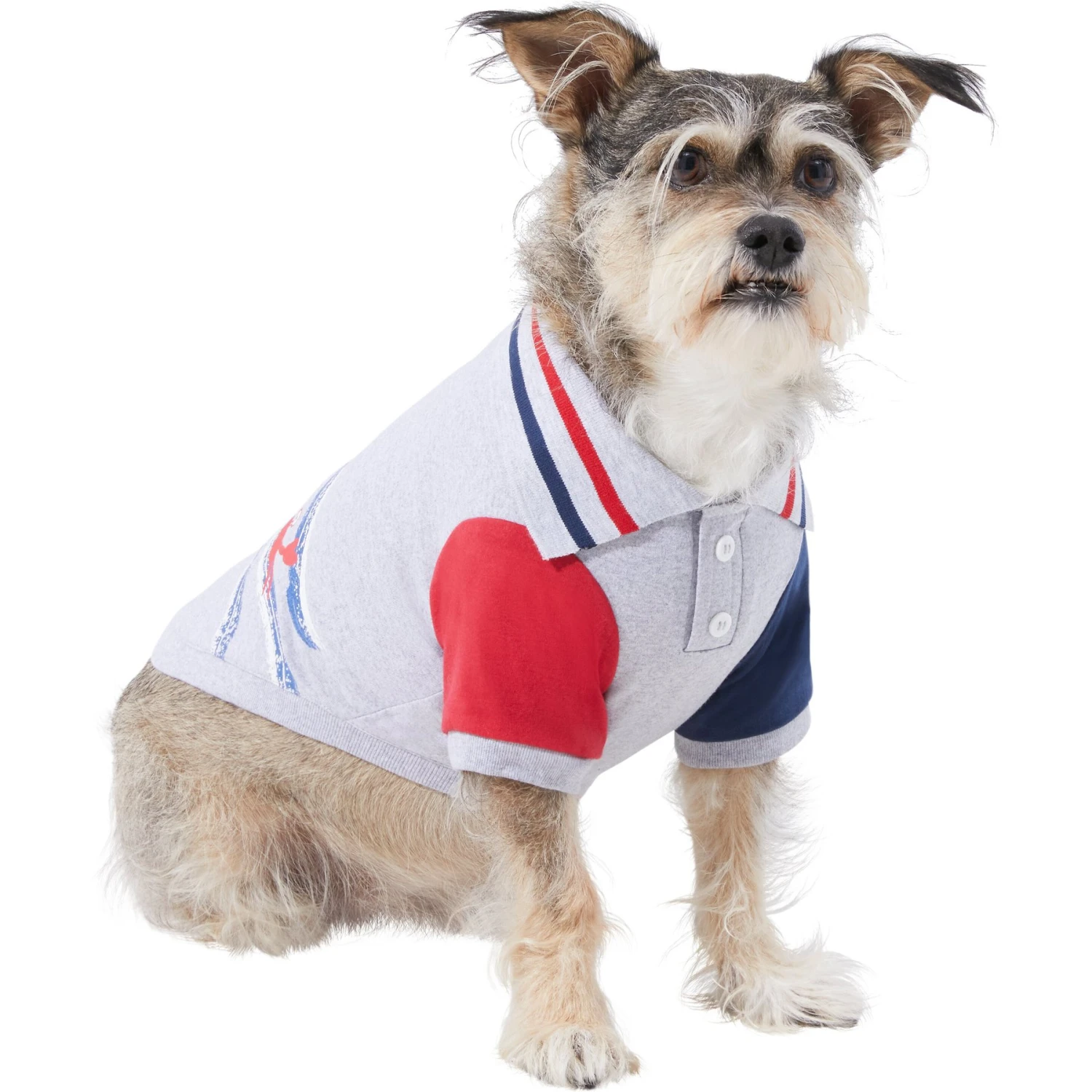Frisco Nautical Polo Dog & Cat Shirt 1 Frisco Nautical Polo Dog & Cat Shirt