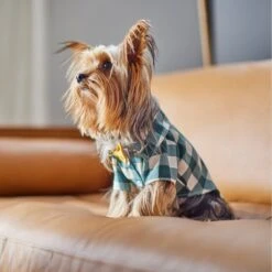 Frisco Boho Plaid Dog & Cat Shirt 15 Frisco Boho Plaid Dog & Cat Shirt -Frisco 312184 PT8. AC SS1800 V1644524330