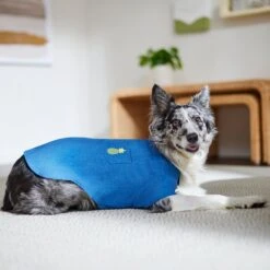 Frisco Chambray Pineapple Dog & Cat Shirt 17 Frisco Chambray Pineapple Dog & Cat Shirt -Frisco 312192 PT8. AC SS1800 V1644526681