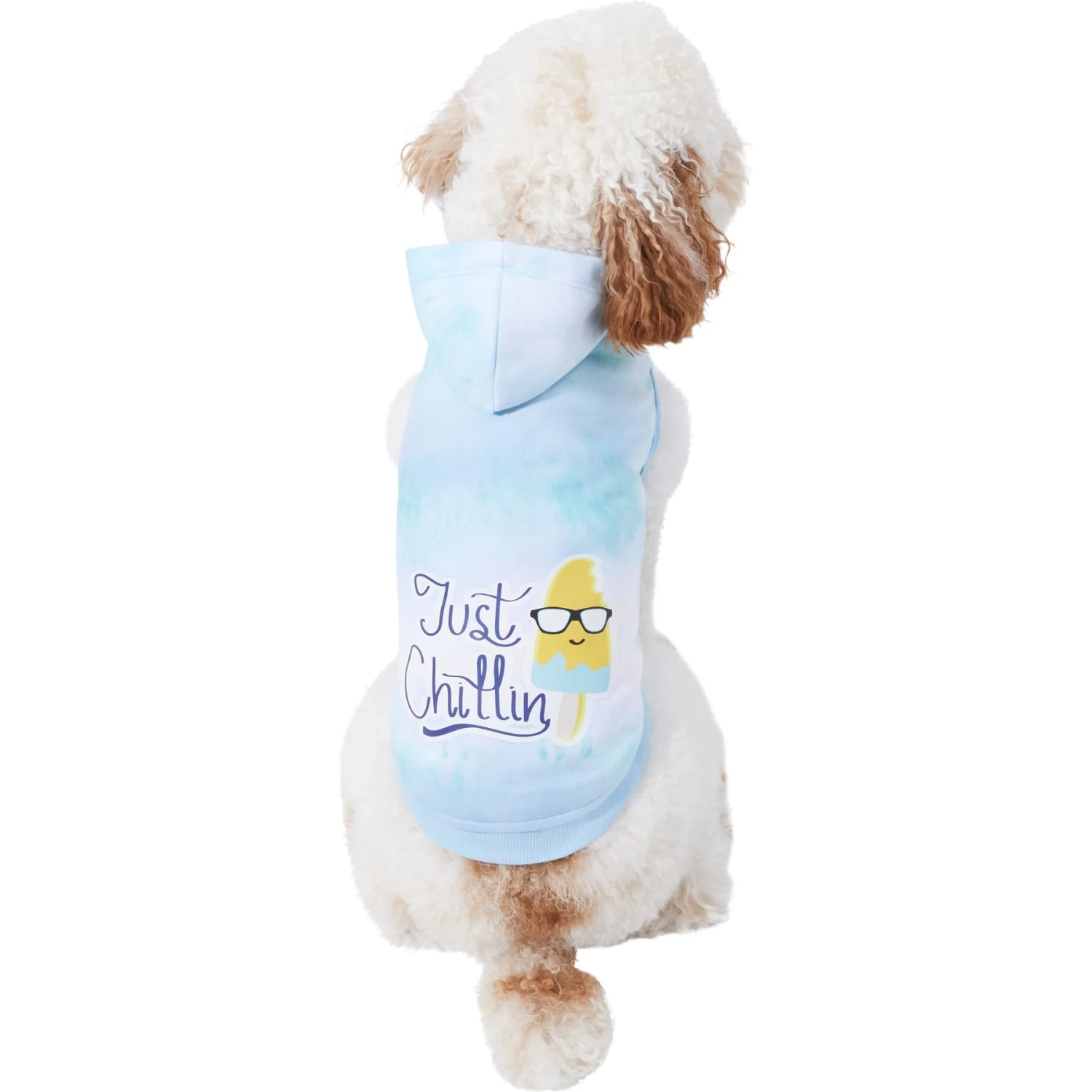 Frisco Just Chillin Dog & Cat Hoodie 1 Frisco Just Chillin Dog & Cat Hoodie