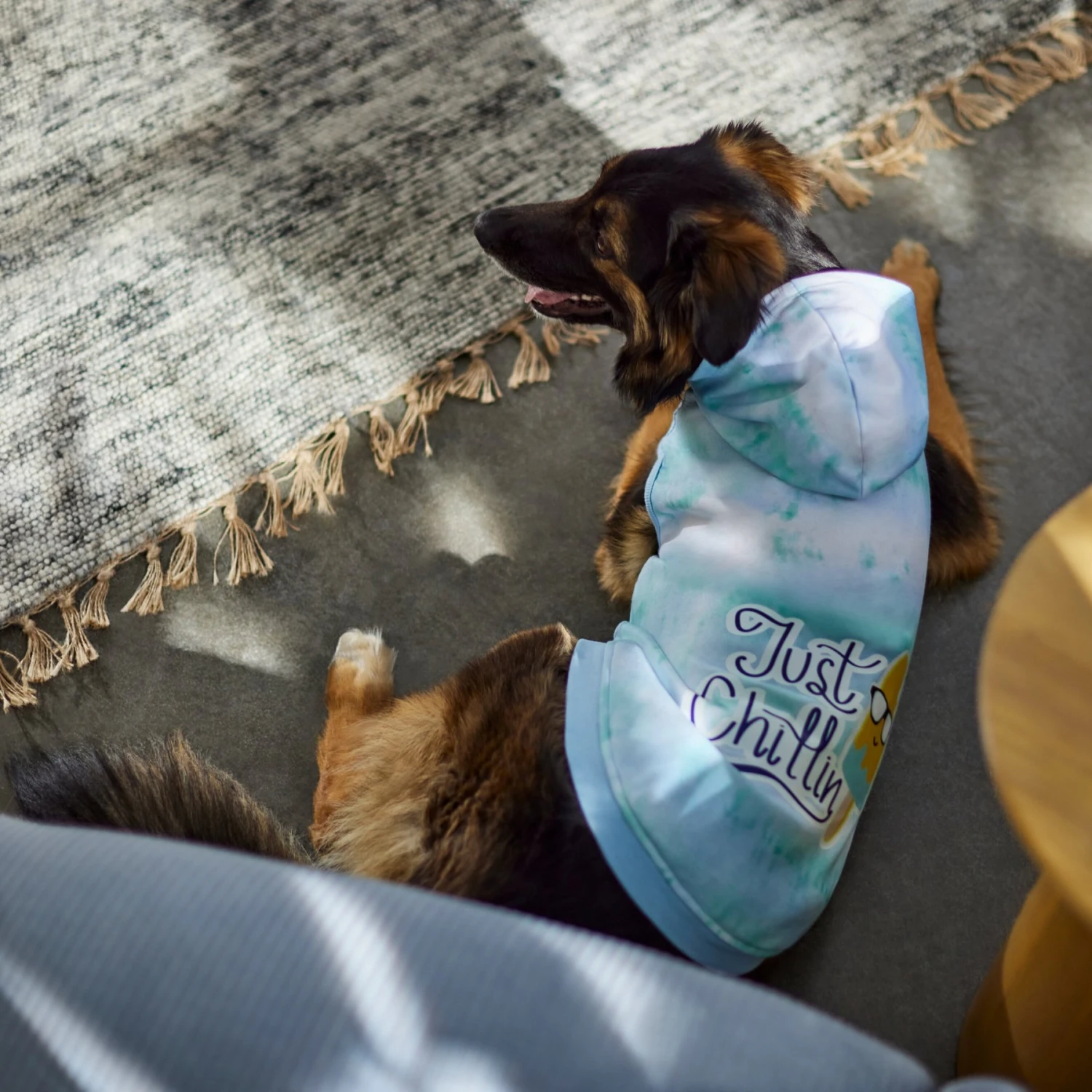 Frisco Just Chillin Dog & Cat Hoodie 7 Frisco Just Chillin Dog & Cat Hoodie - Image 7