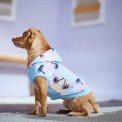 Frisco Palm Tree Dog & Cat Hoodie 12 Frisco Palm Tree Dog & Cat Hoodie -Frisco 312241 PT7. AC SS1800 V1673303005