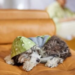 Frisco Green Southwest Dog & Cat Hoodie 13 Frisco Green Southwest Dog & Cat Hoodie -Frisco 312248 PT8. AC SS1800 V1644883113