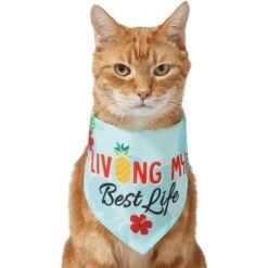 Frisco Living My Best Life Dog & Cat Bandana 9 Frisco Living My Best Life Dog & Cat Bandana -Frisco 312288 PT2. AC SS1800 V1644884916