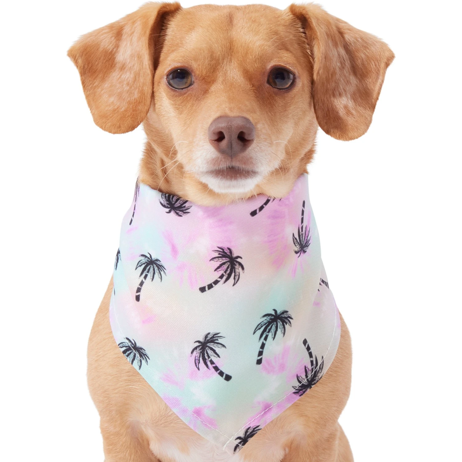 Frisco Palm Tree Dog & Cat Bandana 1 Frisco Palm Tree Dog & Cat Bandana