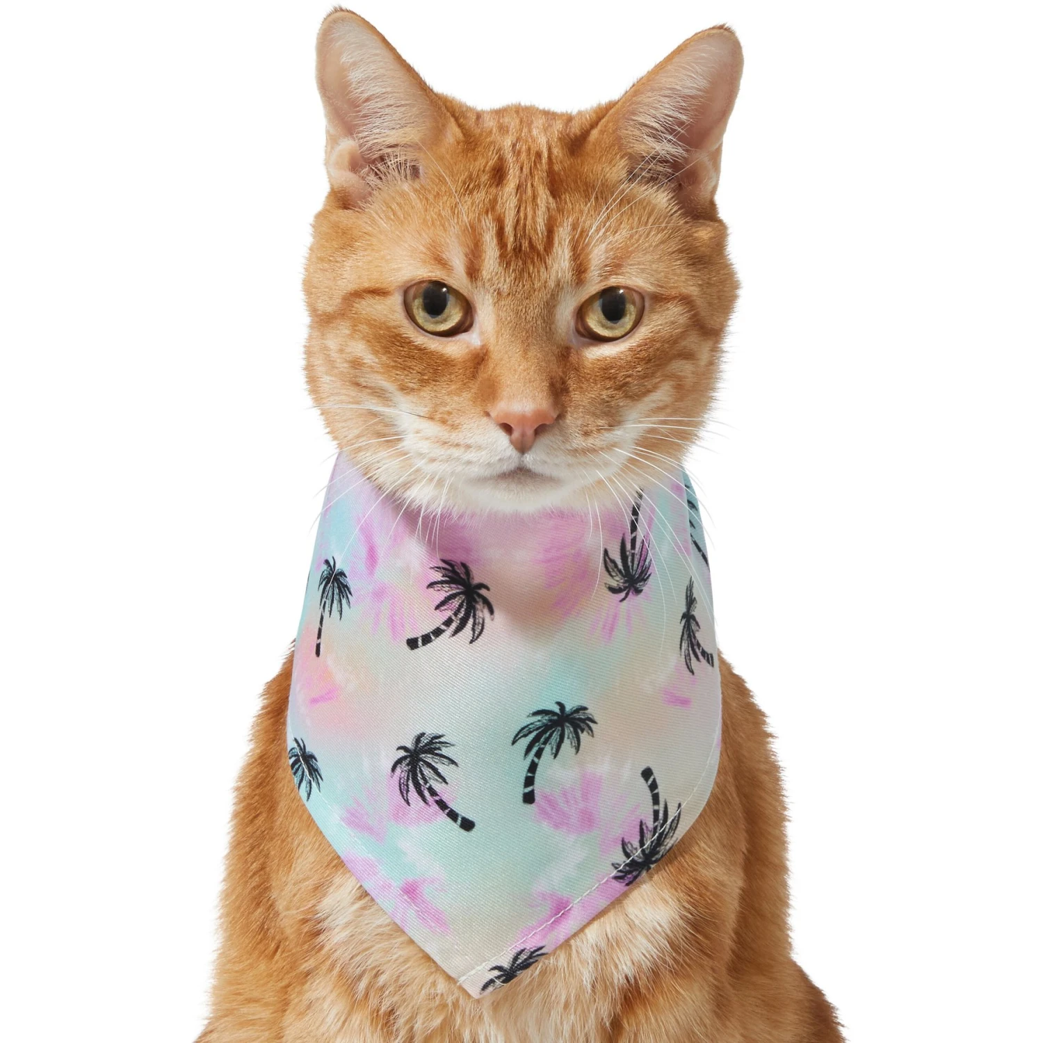Frisco Palm Tree Dog & Cat Bandana 3 Frisco Palm Tree Dog & Cat Bandana - Image 3