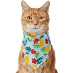 Frisco Hawaiian Pineapple Dog & Cat Bandana 9 Frisco Hawaiian Pineapple Dog & Cat Bandana -Frisco 312300 PT2. AC SS1800 V1644878643