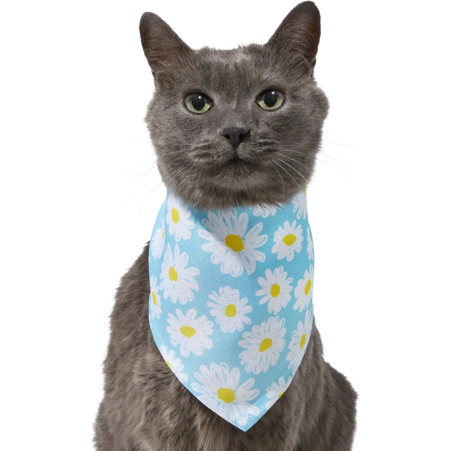 Frisco Daisy Dog & Cat Bandana 3 Frisco Daisy Dog & Cat Bandana - Image 3