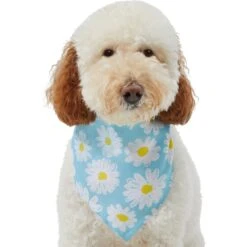 Frisco Daisy Dog & Cat Bandana 11 Frisco Daisy Dog & Cat Bandana -Frisco 312303 PT3. AC SS1800 V1673302704