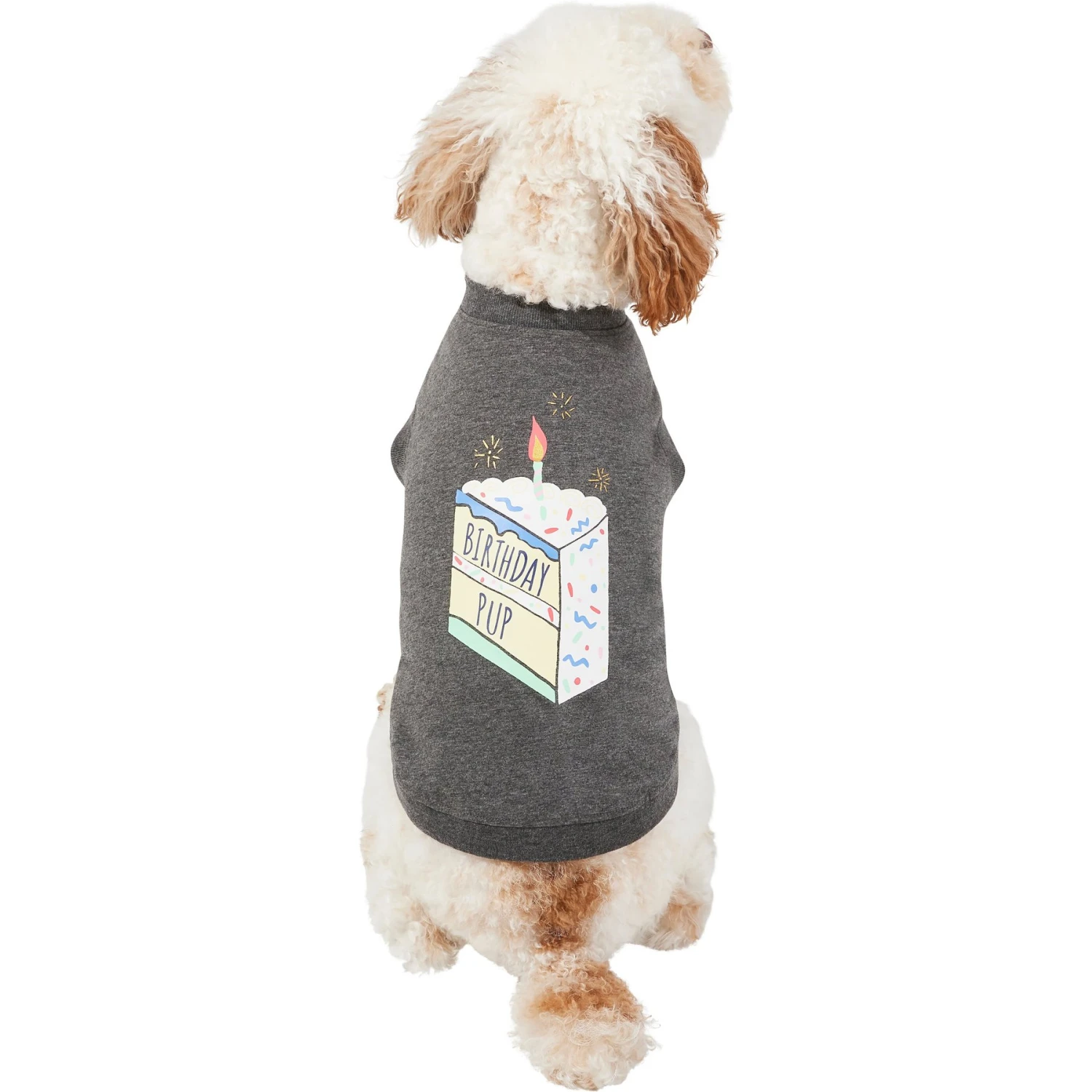 Frisco Birthday Pup Dog & Cat T-Shirt 1 Frisco Birthday Pup Dog & Cat T-Shirt