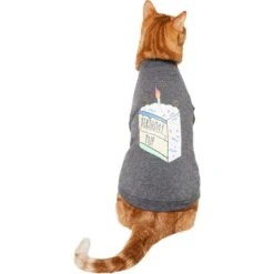Frisco Birthday Pup Dog & Cat T-Shirt 8 Frisco Birthday Pup Dog & Cat T-Shirt -Frisco 315076 PT2. AC SS1800 V1646432513