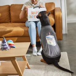 Frisco Birthday Pup Dog & Cat T-Shirt 11 Frisco Birthday Pup Dog & Cat T-Shirt -Frisco 315076 PT8. AC SS1800 V1646438210