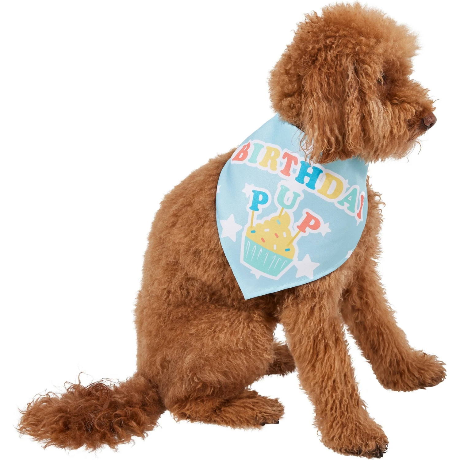 Frisco Birthday Pup Dog & Cat Bandana 1 Frisco Birthday Pup Dog & Cat Bandana