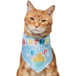 Frisco Birthday Pup Dog & Cat Bandana 9 Frisco Birthday Pup Dog & Cat Bandana -Frisco 315130 PT2. AC SS1800 V1646437964