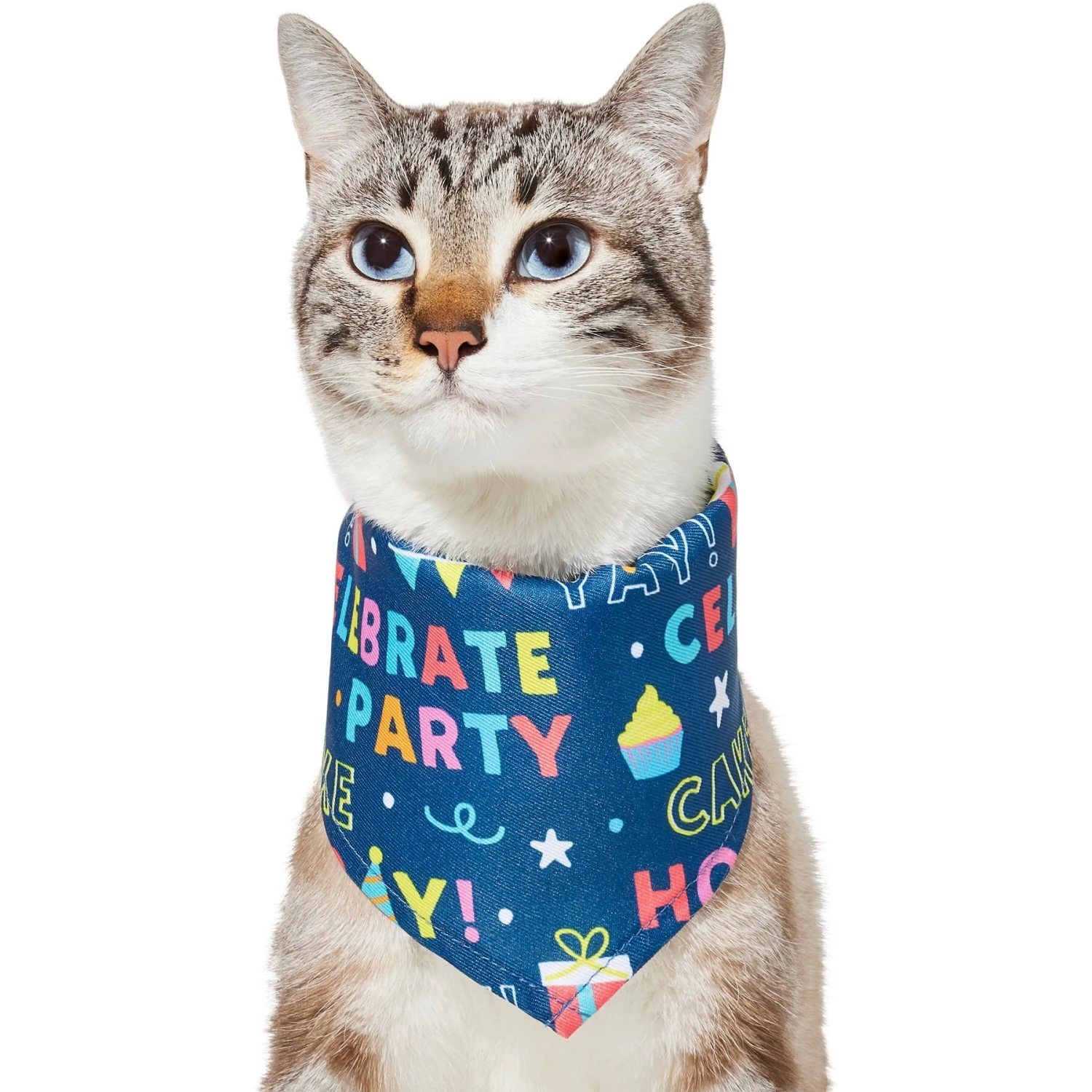 Frisco Celebration Dog & Cat Bandana 3 Frisco Celebration Dog & Cat Bandana - Image 3