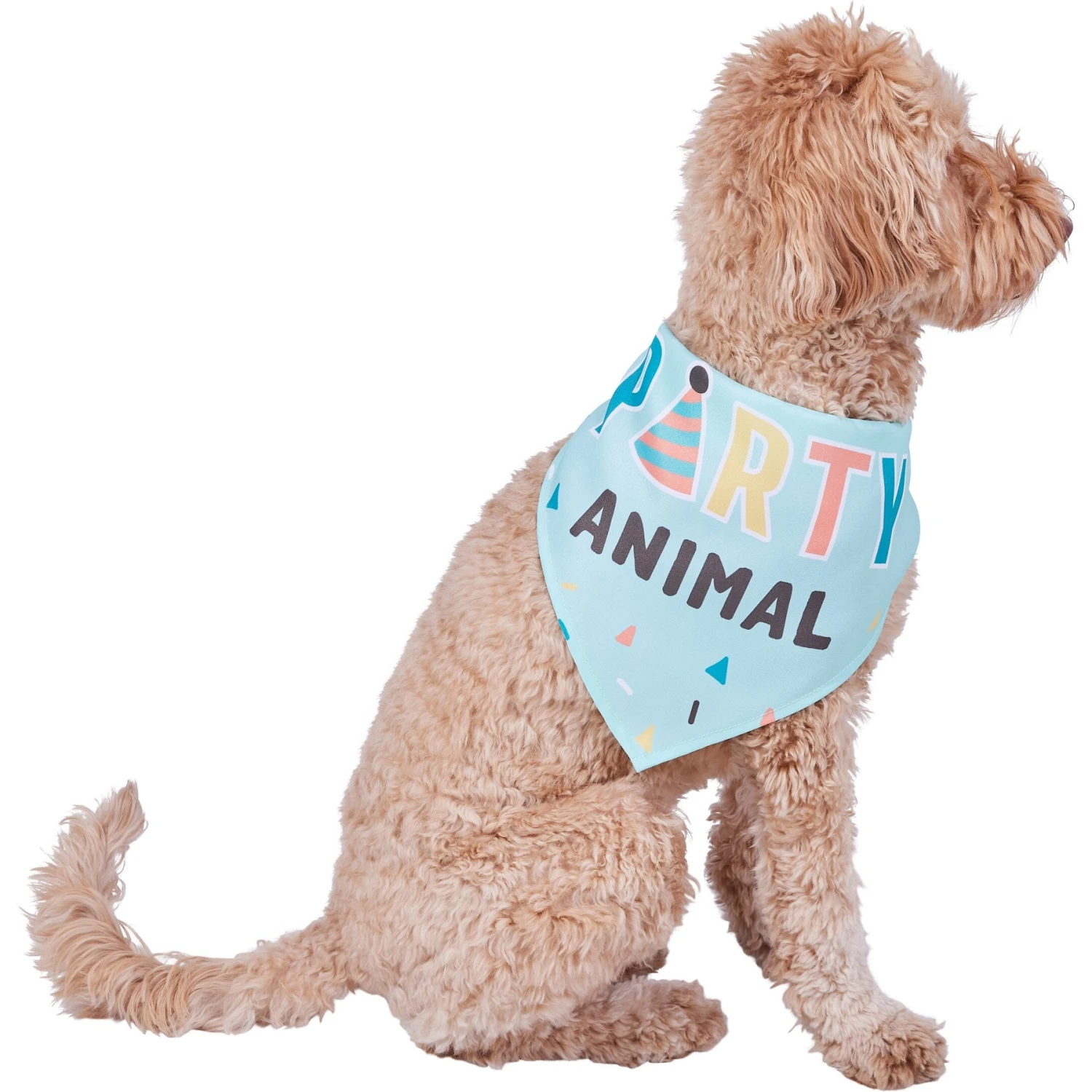 Frisco Party Animal Dog & Cat Bandana 1 Frisco Party Animal Dog & Cat Bandana