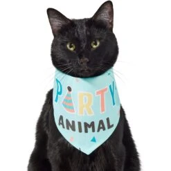 Frisco Party Animal Dog & Cat Bandana 9 Frisco Party Animal Dog & Cat Bandana -Frisco 315136 PT2. AC SS1800 V1646438016