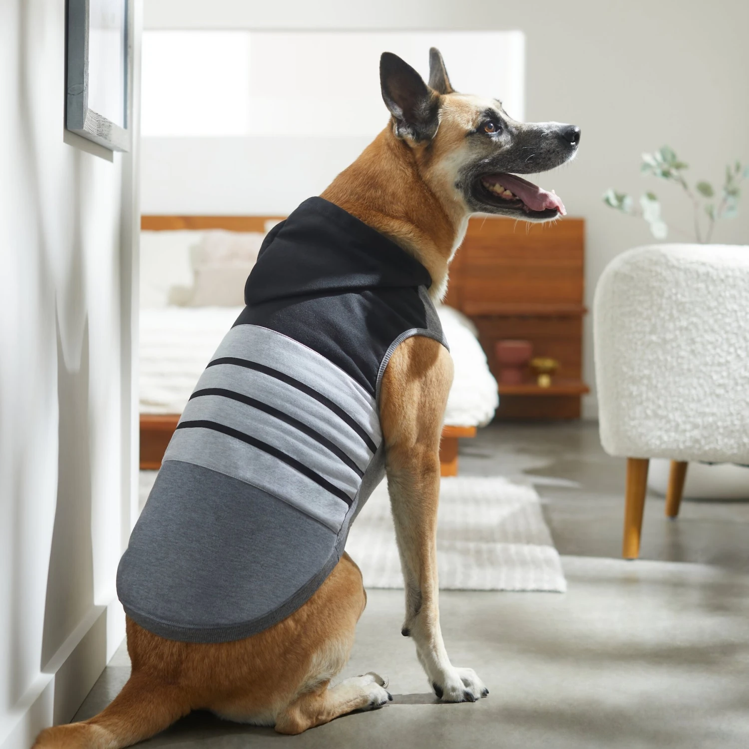Frisco Gray Striped Dog & Cat Hoodie 7 Frisco Gray Striped Dog & Cat Hoodie - Image 7