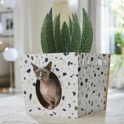 Frisco Potted Succulent Cardboard Cat House 10 Frisco Potted Succulent Cardboard Cat House -Frisco 317723 PT4. AC SS1800 V1688677260
